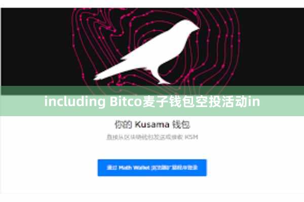 including Bitco麦子钱包空投活动in
