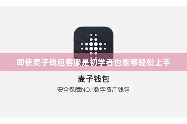 即使麦子钱包客服是初学者也能够轻松上手