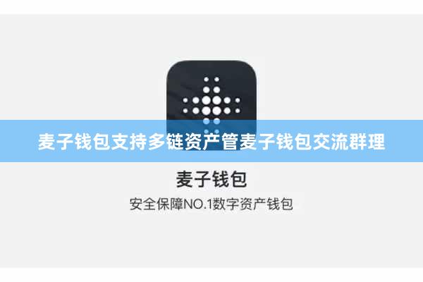 麦子钱包支持多链资产管麦子钱包交流群理