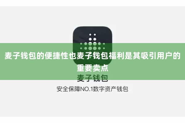 麦子钱包的便捷性也麦子钱包福利是其吸引用户的重要卖点
