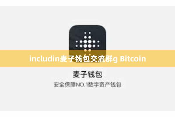 includin麦子钱包交流群g Bitcoin