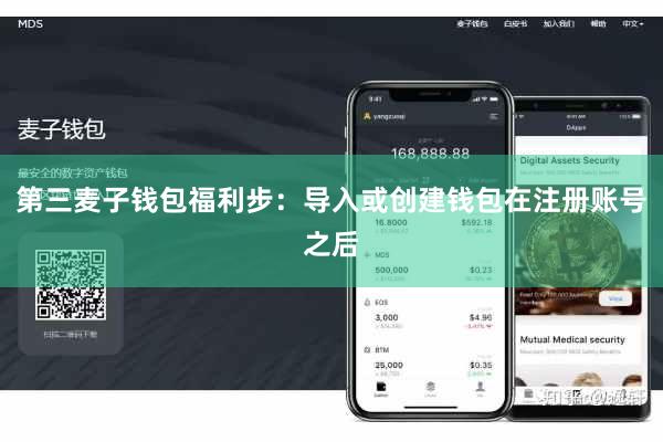 第三麦子钱包福利步：导入或创建钱包在注册账号之后