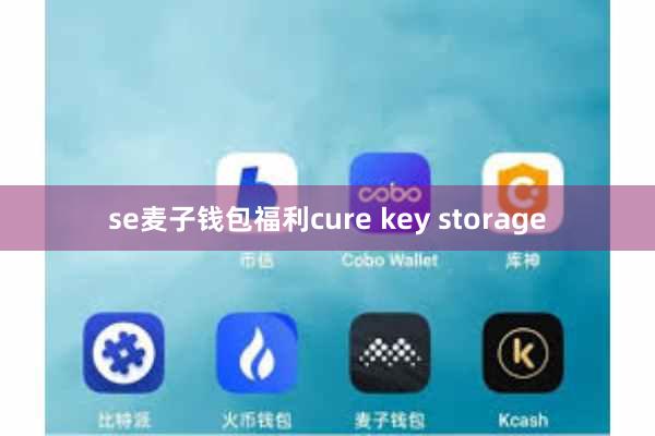 se麦子钱包福利cure key storage