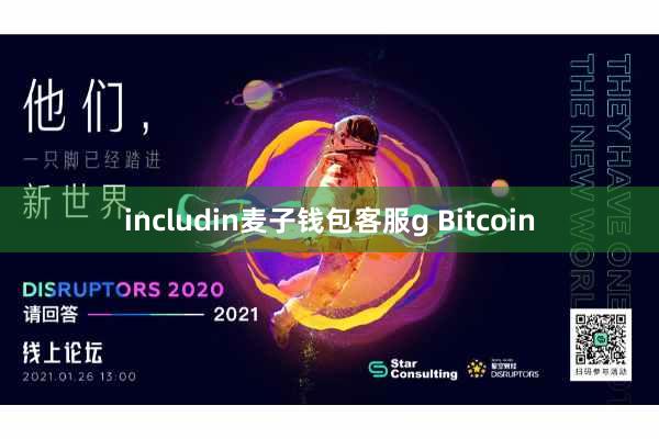 includin麦子钱包客服g Bitcoin
