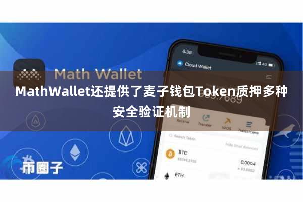 MathWallet还提供了麦子钱包Token质押多种安全验证机制