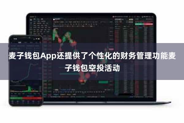 麦子钱包App还提供了个性化的财务管理功能麦子钱包空投活动