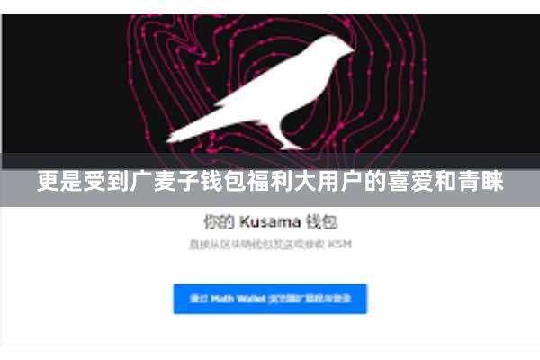 更是受到广麦子钱包福利大用户的喜爱和青睐