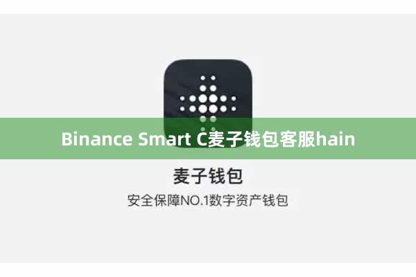 Binance Smart C麦子钱包客服hain