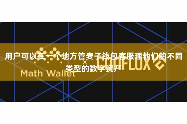 用户可以在一个地方管麦子钱包客服理他们的不同类型的数字资产